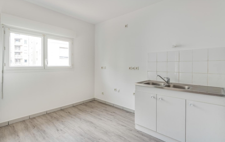 SEBASTIEN COCHE IMMOBILIER : Appartement | VILLEURBANNE (69100) | 66 m2 | 249 000 € 